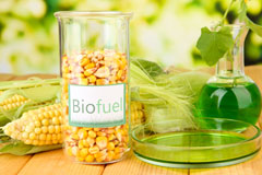 Plas Dinam biofuel availability