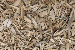 biomass boilers Plas Dinam