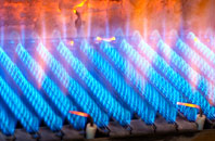 Plas Dinam gas fired boilers
