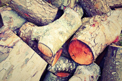Plas Dinam wood burning boiler costs